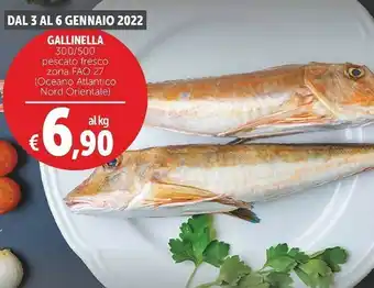Deco Supermercati Gallinella pescato fresco offerta