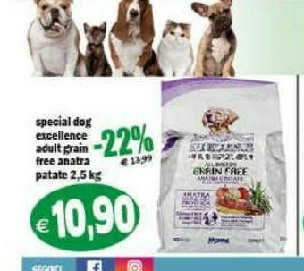 Il Castoro Supermercati Cibo per cani offerta