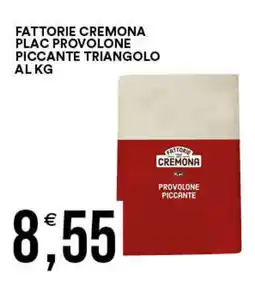 Vantaggio Cash&Carry Fattorie cremona plac provolone piccante triangolo offerta