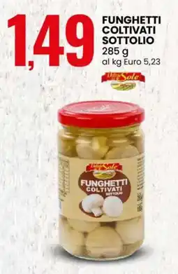 Eurospin Funghetti coltivati sottolio DELIZIE SOLE offerta