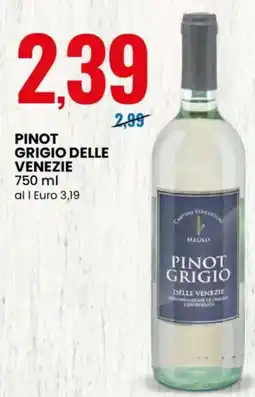 Eurospin Pinot grigio delle venezie offerta