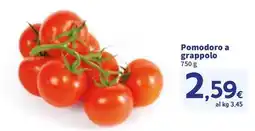 Sigma Pomodoro a grappolo offerta