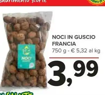Todis Noci offerta