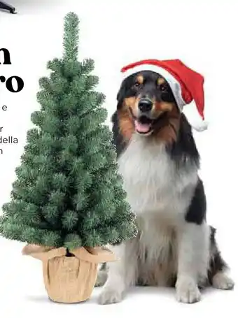 Extracoop Albero di natale artificiale con vaso offerta