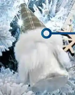 Extracoop Addobbi assortiti offerta