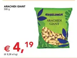 Esselunga ARACHIDI GIANT offerta