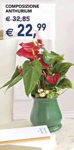 Esselunga Composizione Anthurium offerta