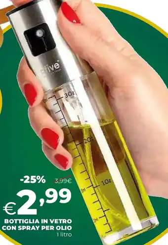 Extracoop Bottiglia in vetro con spray per olio offerta