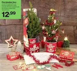 MD Discount Pino Natalizio Vero offerta