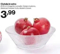 MD Discount Ciotola in vetro offerta