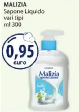 Acqua & Sapone MALIZIA Sapone Liquido offerta