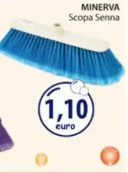 Acqua & Sapone MINERVA Scopa Senna offerta