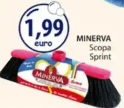 Acqua & Sapone MINERVA Scopa Sprint offerta