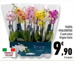 Conad Superstore Pianta phalenopsis offerta