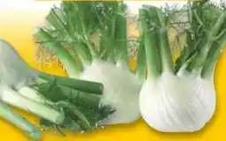 Conad Superstore Finocchi offerta