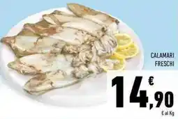 Conad Superstore Calamari freschi offerta