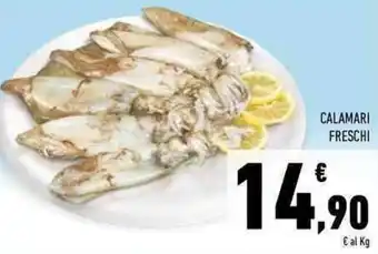 Conad Superstore Calamari freschi offerta