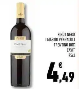 Conad Superstore Pinot nero i mastri vernacoli trentino doc CAVIT offerta