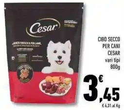 Conad Superstore Cibo secco per cani CESAR offerta