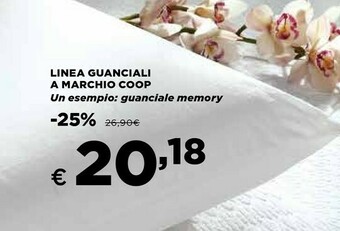 Ipercoop Cuscino offerta