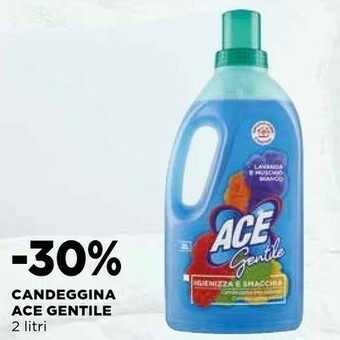 Ipercoop Candeggina offerta