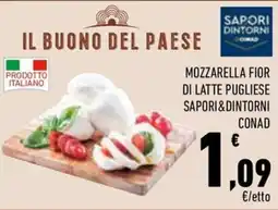 Conad City Mozzarella fior di latte pugliese SAPORI&DINTORNI CONAD offerta