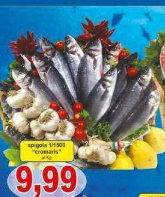 Pewex Pesce offerta