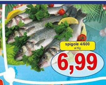 Pewex Pesce offerta