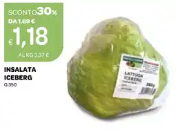 Ekom Insalata iceberg offerta