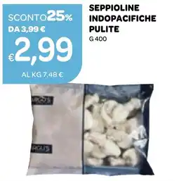 Ekom Seppioline indopacifiche pulite offerta