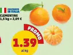 PENNY Clementine offerta