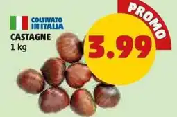 PENNY Castagne offerta