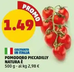 PENNY Pomodoro piccadilly natura è offerta