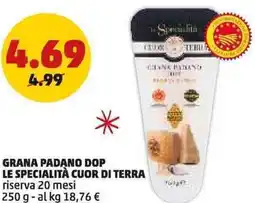 PENNY Grana padano dop le specialità cuor di terra riserva 20 mesi offerta