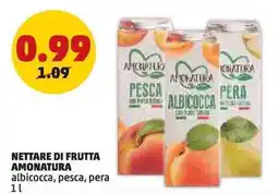 PENNY Nettare di frutta amonatura albicocca, pesca, pera offerta