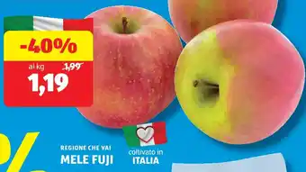 ALDI Mele fuji offerta