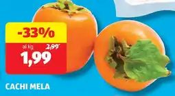 ALDI Cachi mela offerta