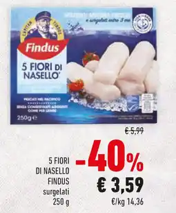 Conad 5 fiori di nasello FINDUS offerta