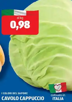 ALDI I colori del sapore cavolo cappuccio offerta
