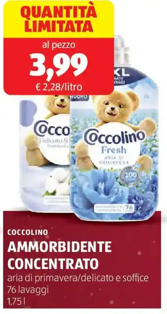 ALDI Coccolino ammorbidente concentrato offerta