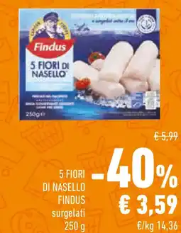 Conad 5 fiori di nasello FINDUS offerta