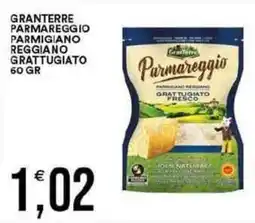 Vantaggio Cash&Carry Granterre parmareggio parmigiano reggiano grattugiato offerta