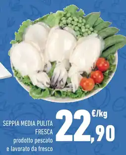 Conad Seppia media pulita fresca offerta