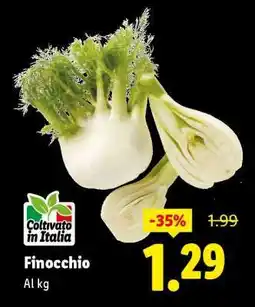 Lidl Finocchio offerta