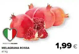 Tigre Melagrana rossa offerta