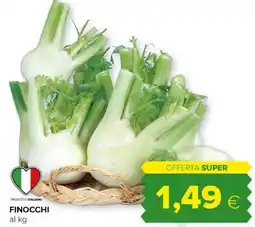 Tigre Finocchi offerta