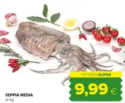 Tigre Seppia media offerta