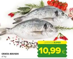 Tigre Orata 400/600 offerta