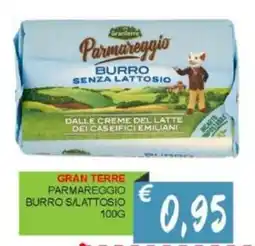 Caramico Gran terre parmareggio burro s/lattosio offerta