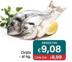 Altasfera Orata offerta